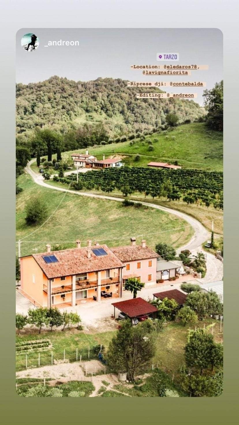 Tarzo La Vigna Fiorita B&B المظهر الخارجي الصورة